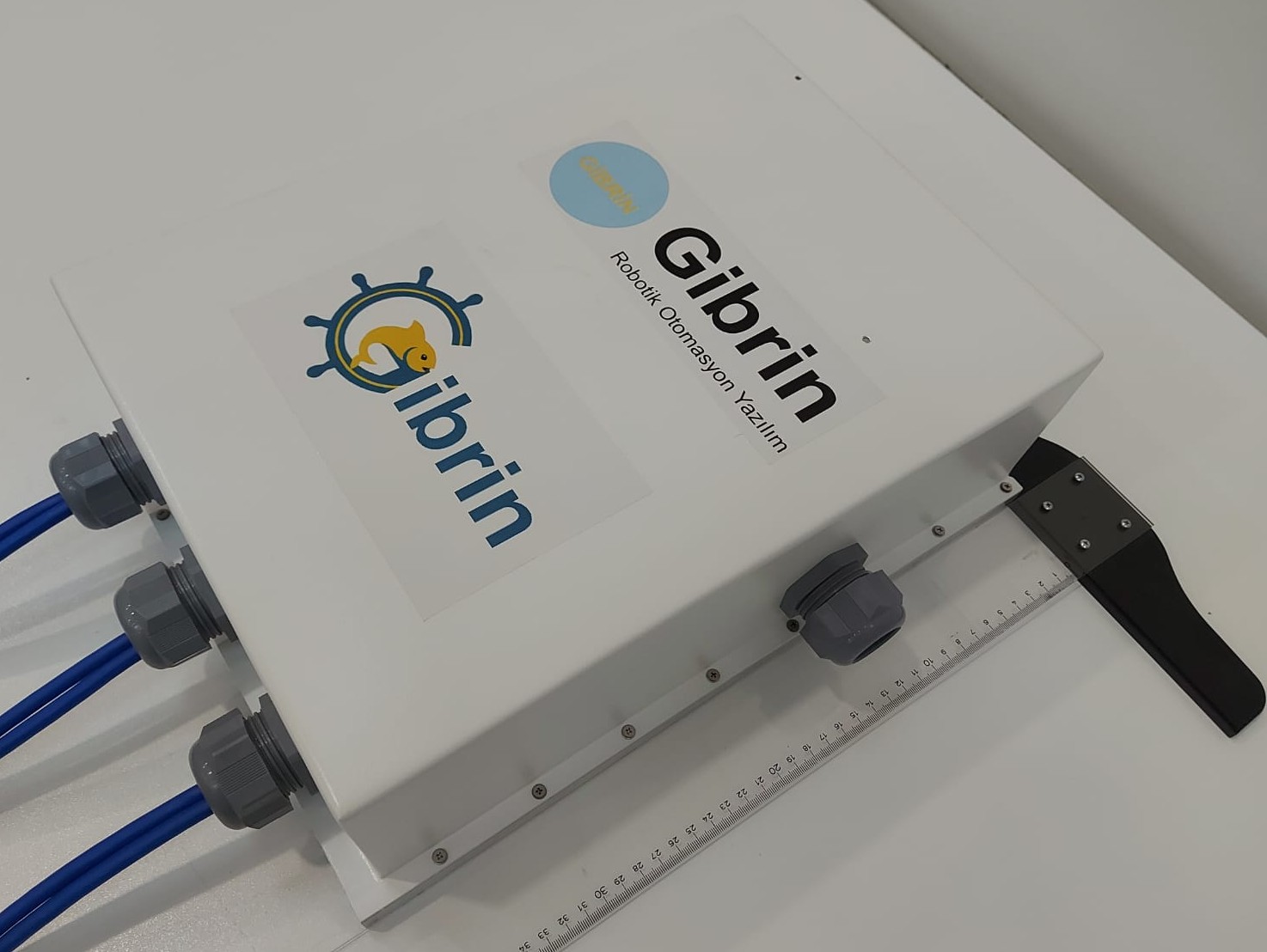 Gibrin eDrive Motor Sürücüsü 3D Modeli